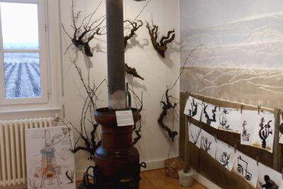 Salle lors de l'exposition "Dames de vigne" - Agrandir l'image 30 sur 39, fenêtre modale