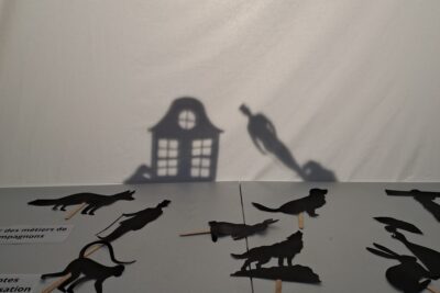 Agrandir l'image 12 sur 15, fenêtre modale