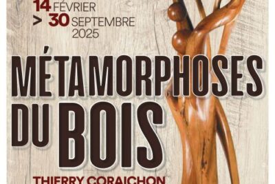 Agrandir l'image 1 sur 1, fenêtre modale