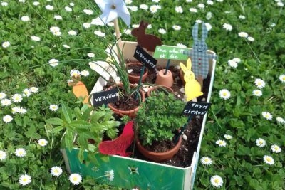 Agrandir l'image 15 sur 24, fenêtre modale