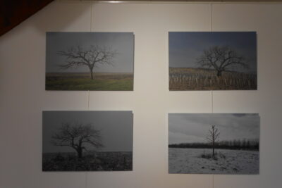 Agrandir l'image 21 sur 39, fenêtre modale