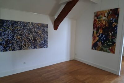 Agrandir l'image 9 sur 39, fenêtre modale