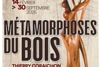 Agrandir l'image 1 sur 40, fenêtre modale